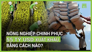 Chinh phục mục tiêu 55 tỷ USD xuất khẩu nông nghiệp | VTC16