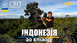 Будуємо хатинку на дереві та залаштунки програми в джунглях Папуа. Світ навиворіт 20 випуск