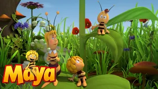 A Flower To Share - Maya the Bee - Episode 67