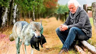 The she-wolf brought the wolf cub to this man. The reason will shock you!