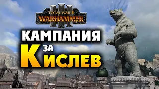 Кампания за Кислев в Total War Warhammer 3 - геймплей Царицы Катарины на русском