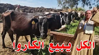 معايا عرض هايهز الارض اللي عنده عربيه كاروا يروح يبعها  ويشتري بقره النهارده