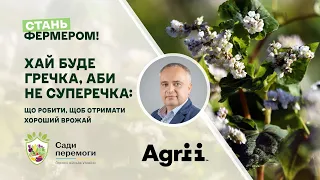 Хай буде гречка, аби не суперечка: що робити, щоб отримати хороший врожай | Стань фермером