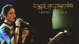 Pālu Wu (පාළු වූ හුදෙකලාවක) - Sankani Edirisinghe