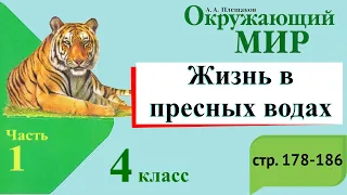 Жизнь в пресных водах. Окружающий мир. 4 класс, 1 часть. Учебник А. Плешаков стр. 178-186