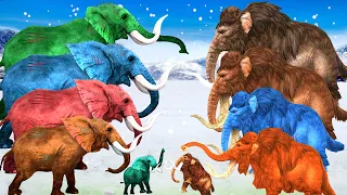 10 Zombie Mammoths Vs Elephants Fight on Snow To save Baby Woolly Mammoths Elephants