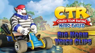All Big Norm Voice Clips • Crash Team Racing Nitro-Fueled • All Voice Lines • 2019