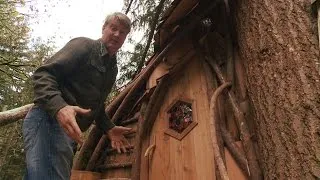 Take a Tour of a Beehive Inspired Treehouse | Treehouse Masters