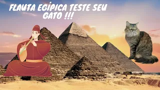 Flauta Egípcia teste seu Gato !!!