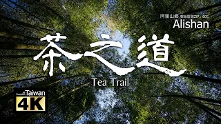 【4K】20231217 @ 茶之道 Tea Trail (Please turn on subtitles)