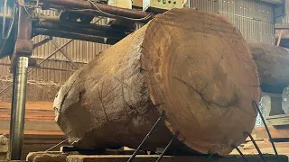 Manufacturing Process of Rare Large Wood - Vietnam Furniture Wood Processing Factory