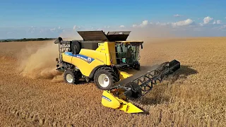 New Holland CR 8.90 Révélation IntelliSense moisson 2023 / Case CVX 240 / DJI Air2s et DJI Avata