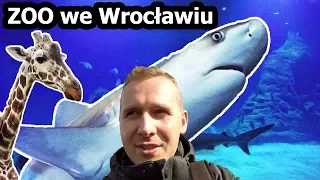 ZOO we Wrocławiu - Wycieczka z Przyczepą Kempingową (Vlog #102)