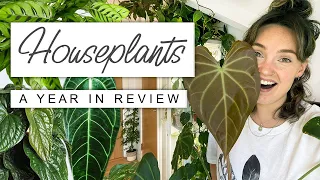 A Planty Year In Review 🌱 WHERE ARE THEY NOW? Best Houseplants This Year Reaction