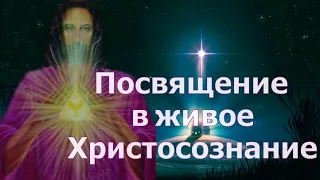 Иисус Христос: Посвящение в живое Христосознание