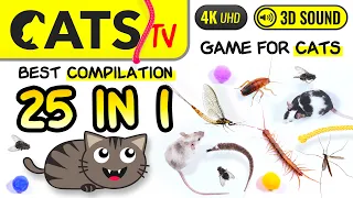 CATS TV - 25 IN 1 😻🪳 BEST Games Compilation for cats 🐭🕷️🪰 4K [Cats TV] 3 Hours