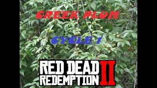 RDR2 All Creek Plum Flower Locations (Cycle 1)