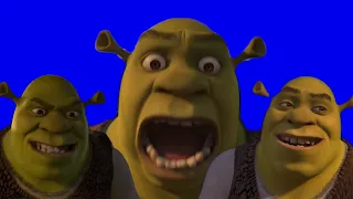 Shrek vs Tai lung ( F**king epic) Blue Screens