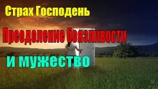 Страх Господень. Преодоление боязливости и мужество