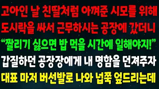 (실화사연) 고아인 날 친딸처럼 아껴준 시모를 위해 도시락을 싸서 근무하시는 공장에 갔더니"짤리기 싫으면 밥 먹을 시간에도 일해!" 갑질하던 그놈에게 내 명함을 던지자 넙쪽 꿇는데