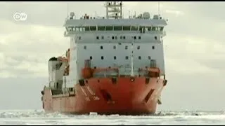 Китайский ледокол-спаситель сам оказался в ледяном плену