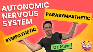 Autonomic Nervous System (Sympathetic & Parasympathetic) - Overview