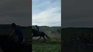 Конные скачки 23.07.23 - Бурятия - Булум Хоринского района. Захватывающее зрелище 🔥🔥🔥