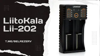 Зарядное устройство для аккумуляторов LiitoKala Lii-202 и Power Bank