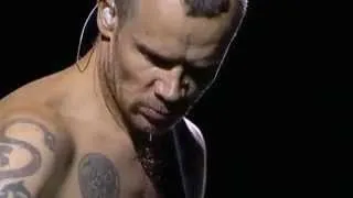 Red Hot Chili Peppers - She's Only 18 (Live At Stadion Śląski, Chorzów Poland 2007)