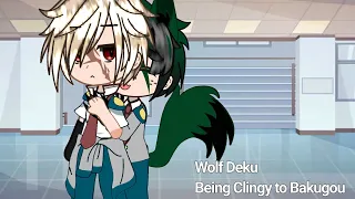 { Clingy Wolf } Wolf Deku x Bakugou [ Au ] DkBk/BkDk