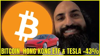 BITCOIN HONG KONG ETF RELEASED TODAY & TESLA STOCK UP 43% OFF THE BOTTOM!!!