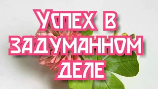 Будет ли успех в задуманном деле / Гадание онлайн на картах ТАРО бесплатно ТАРОТерапия Tarott.ru