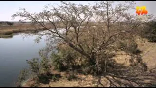 Bacia do Okavango