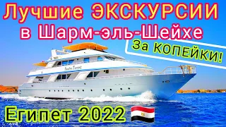 ЕГИПЕТ 🇪🇬 ШАРА❗Экскурсии ДАРОМ. Что посмотреть в Шарм эль Шейхе. Не верь ГИДАМ!