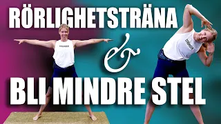 21 MINUTER rörlighet/stretch med stående och enkla övningar