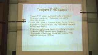 Теория эволюции. Марков А.В. Лекция 12. Часть 2