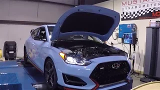 Stock Veloster N Dyno Run