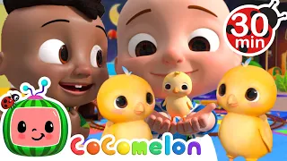 JJ and Cody's Little Chicks | Numbers Song | CoComelon Nursery Rhymes & Kids Songs