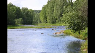 Река Важинка 2015