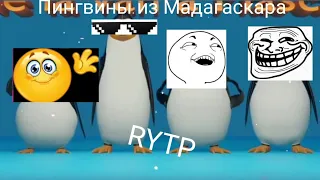 Rytp Пингвины из Мадагаскара