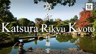 Katsura Rikyu, Visiting traditional landscape garden with tea houses in Kyoto｜桂離宮：京都の回遊式庭園を巡る