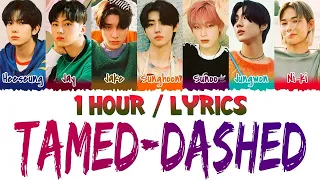 ENHYPEN (엔하이픈) - Tamed-Dashed (1 Hour Loop) With Lyrics | 1시간