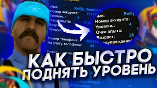 🔥КАК БЫСТРО ПОДНЯТЬ УРОВЕНЬ НА ОНЛАЙН РП | SAMP MOBILE