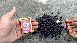 1000 SNAKE BOMB🐍 at Once Fire Diwali Cracker Testing ~ 1000 Black Snakes at Once This Diwali 2021