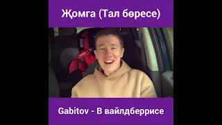 Gabitov - В вайлдберрисе