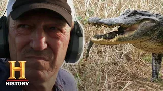 Swamp People: Serpent Invasion: GATOR NEST PYTHON HUNT (Season 2) | History