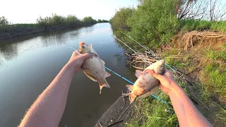 Пробрались через болото. Ищем в ямах сазана.