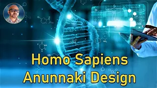 Homo Sapiens by Anunnaki Design | Paul Wallis