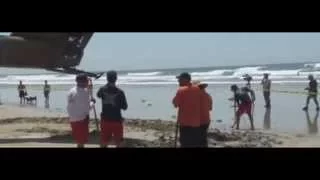 VIDEO: Military helicopter emergency landing on Solana Beach by dog beach