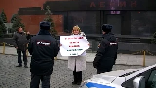 Пикеты многодетных матерей в центре Москвы